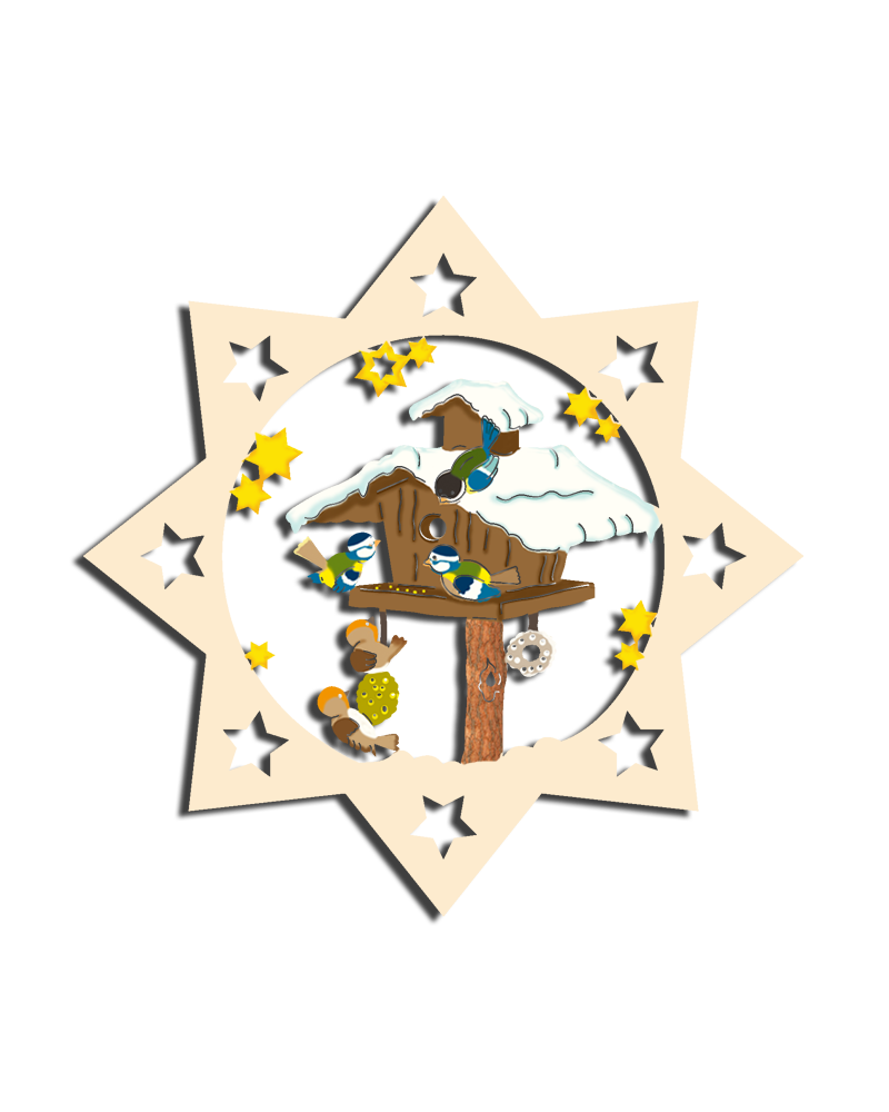Baumbehang Stern "Vögelhäuschen" coloriert Christbaumdekoration Weihnachtssternanhänger